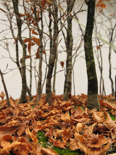 Herbststimmung