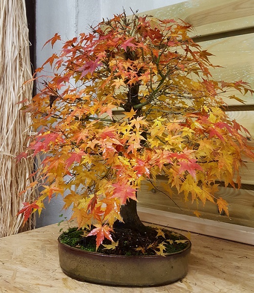 20171111_231147.jpg