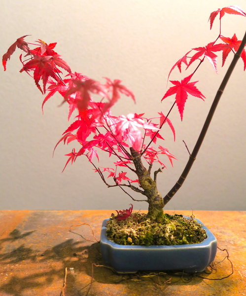 15. Nov 2017