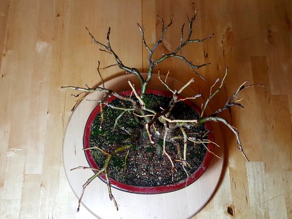 20171115_222225.jpg