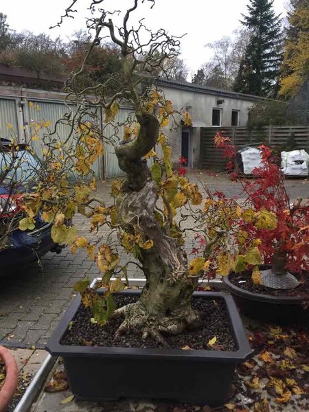 Herbst 2017