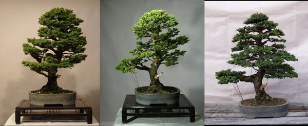 2015- 2017