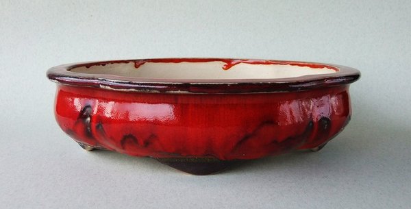 k-051 1701 Lotos a.jpg