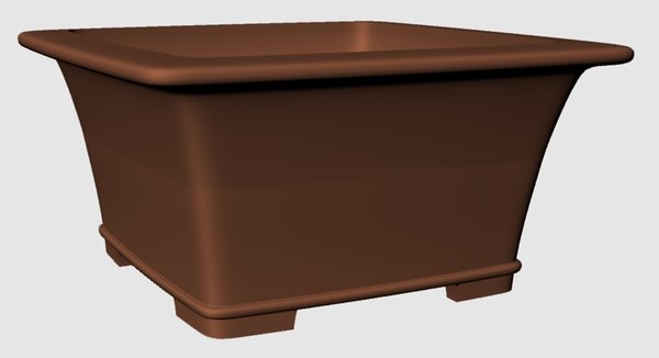 Chris-Schwarzkiefer-Schale.jpg