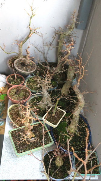 2017-11-03  -2.jpg