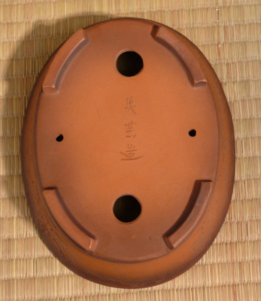 P1210649k.JPG