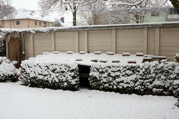mein Winterquartier ist ein "Kalter Kasten", da stehen die Bäume und auch die frostfesten Stauden auf dem Boden oder in Kisten und sind vor Wind, Sonne und Nässe geschützt, die Temperatur gleicht sich aber dem Außen an