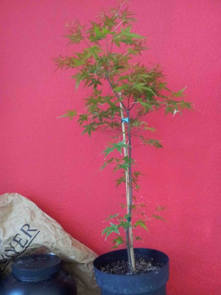 20150716_104546.jpg