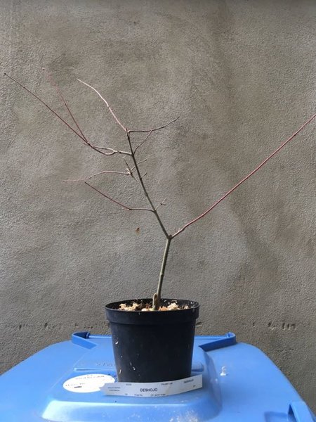 02/17