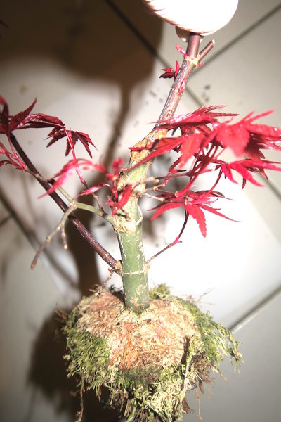 2016-04-16 -7.jpg