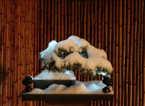 der erste Schnee 2017