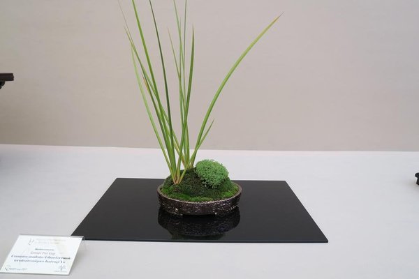 IMG_0519.jpg