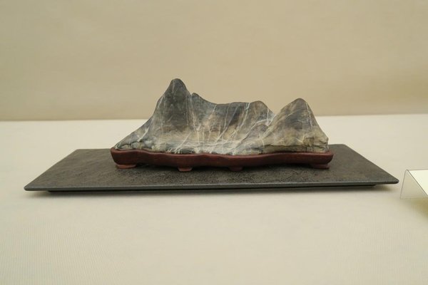 IMG_0698.jpg