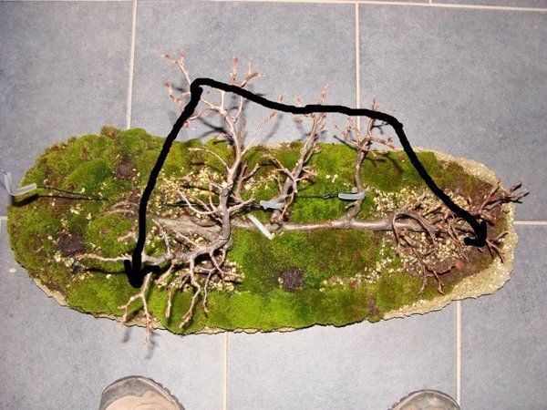 DSC01836 (640x480).jpg