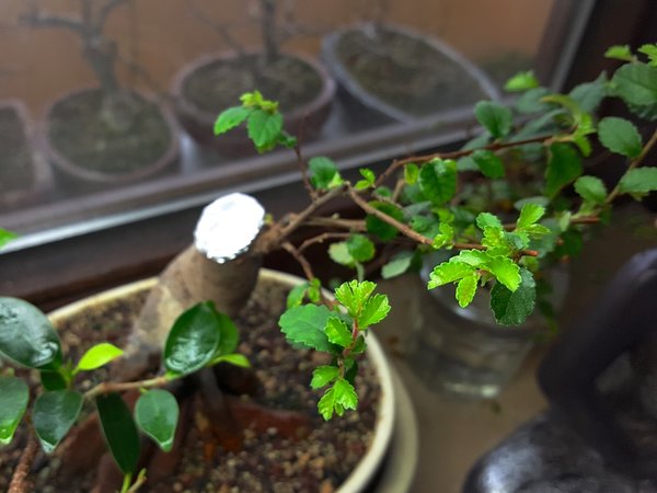 20171218_120819.jpg