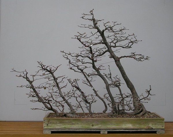 2011-11  nach der Erstgestaltung
