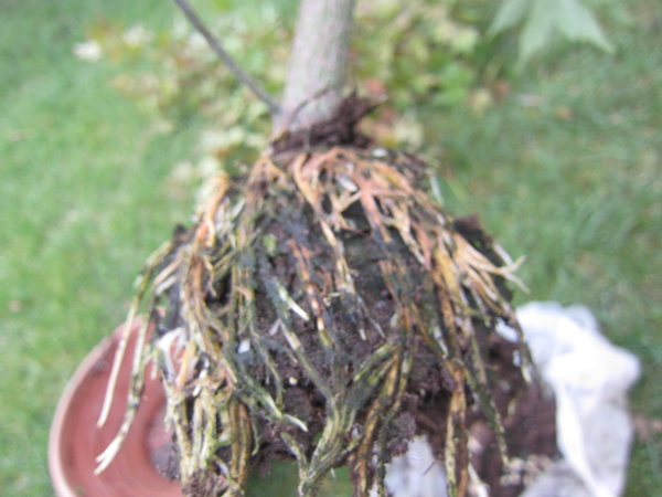 2013-09-15 -15.JPG