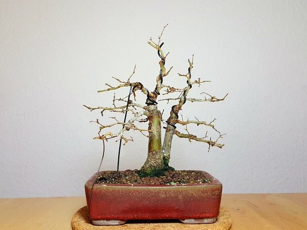 20171230_203917.jpg