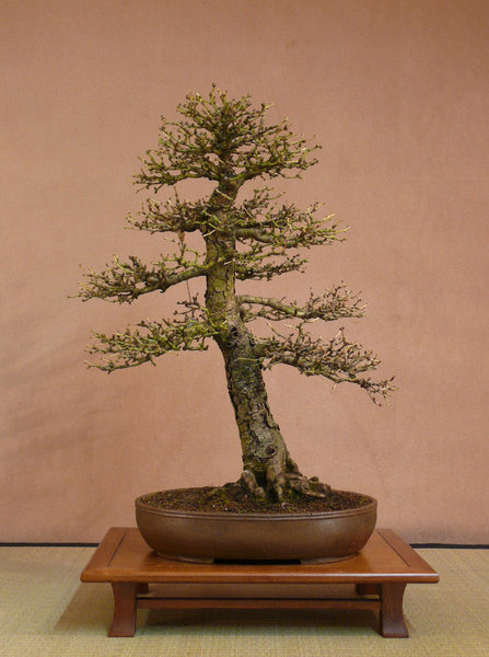 P1210828k.JPG