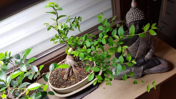 20180101_173528.jpg