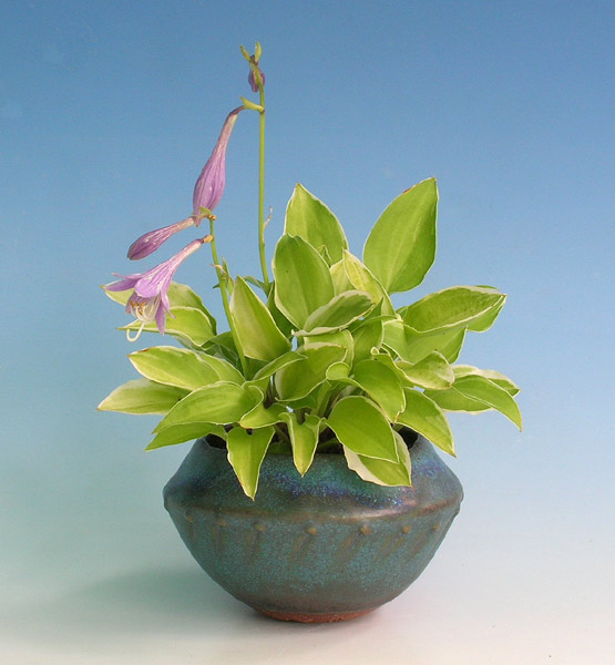 0715200607H.PlatinumTiara.jpg