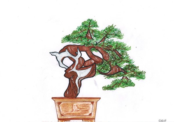 Demo Baum 1 Alexander Geiser comp.jpg