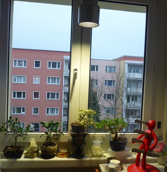winter hennig 003b......jpg