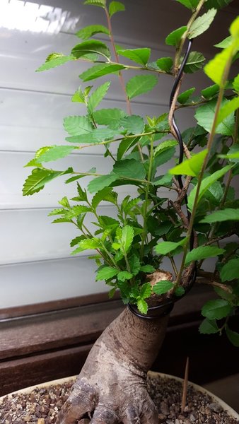 20180113_163710.jpg