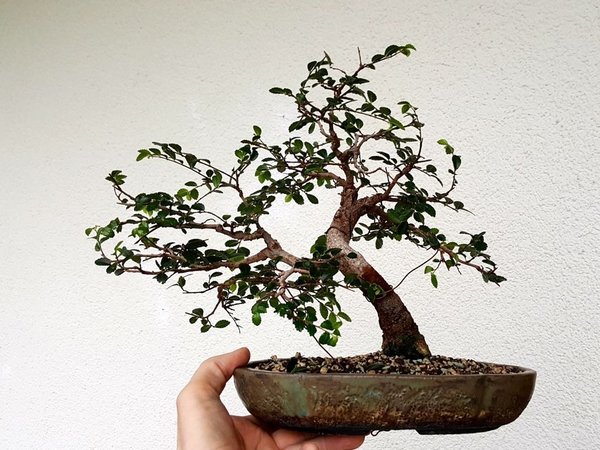 20180115_104948.jpg
