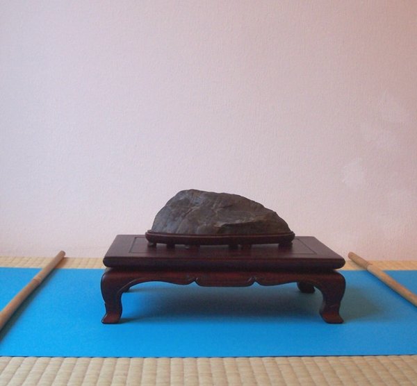 Suiseki Nr. 1: 17 cm lg x 6 cm h