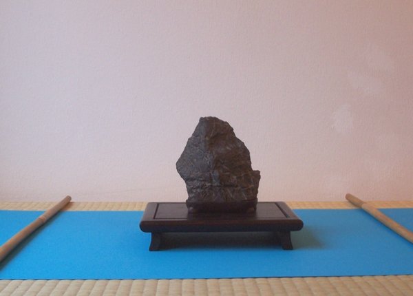 Suiseki Nr. 3: ca. 9,5 cm lg x 11 cm h