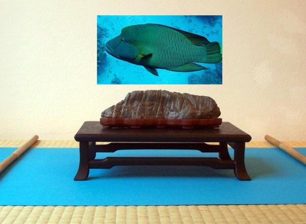 "Napolen im tiefen Wasser"