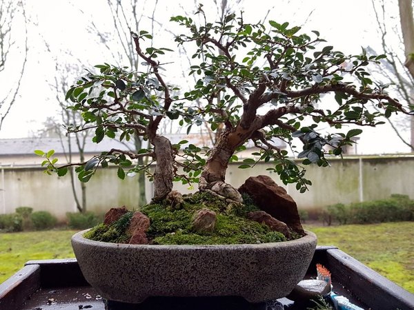 20180122_085636.jpg