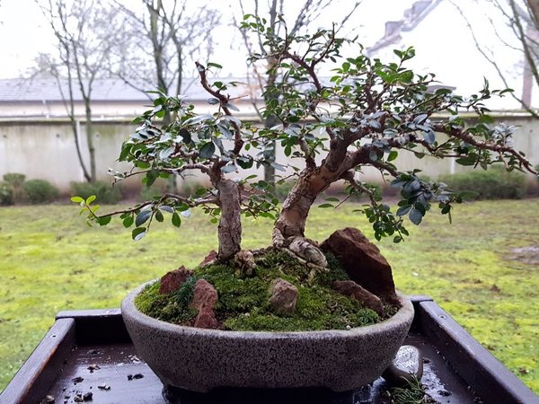 20180122_085704.jpg