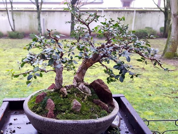 20180122_085711.jpg