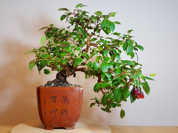 20180124_101537.jpg
