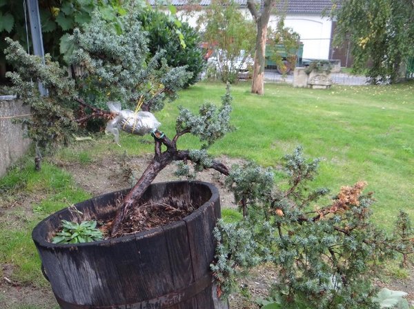 image-2018-01-25.jpg
