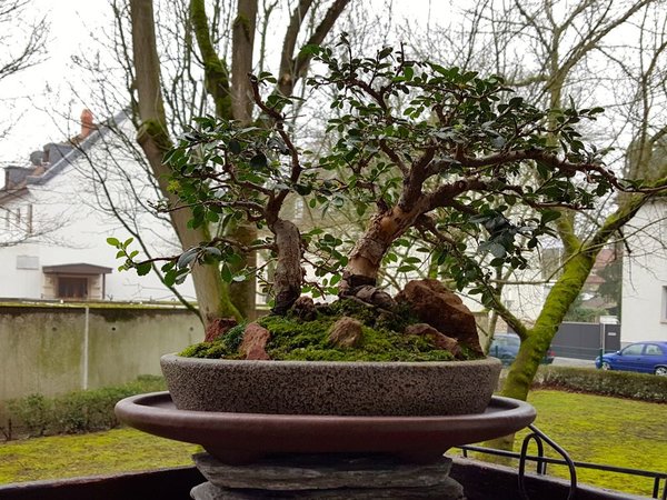 20180127_141234.jpg
