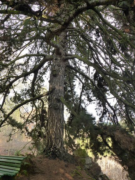 botanischer Garten 134 b.jpg