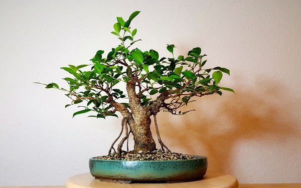 20180127_231623.jpg