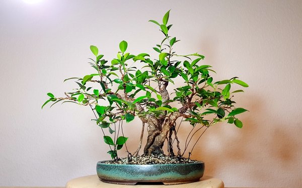 20180128_160448.jpg