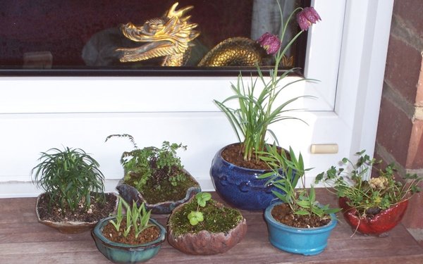 Beisteller für's Zimmer.jpg