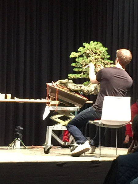Demo am Sonntag, Bjorn hat eine tolle Kiefer in Bearbeitung
