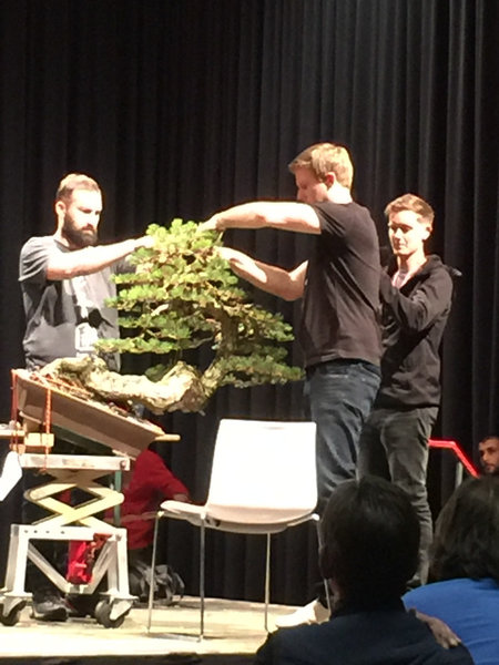 Oscar filmt alles für Bonsai Empire
