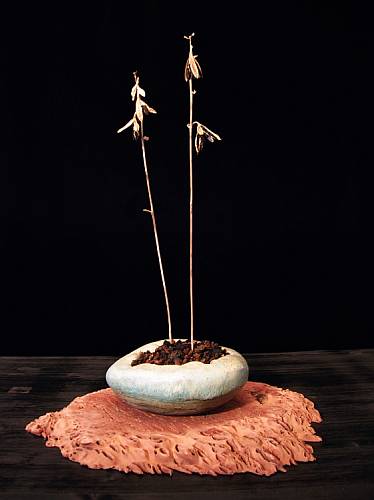 Winter_Hosta1.jpg