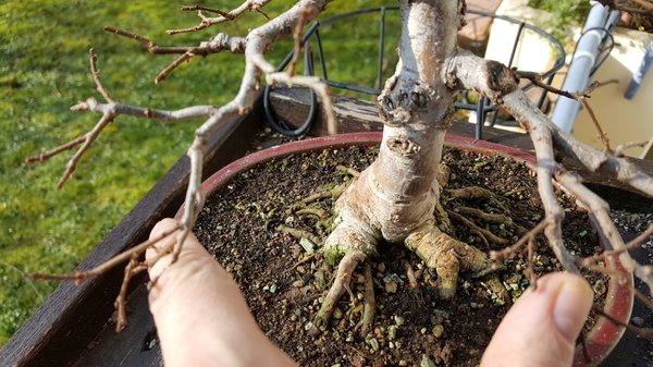 20180218_110208.jpg