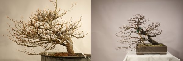 Mai 2016 und Februar 2018