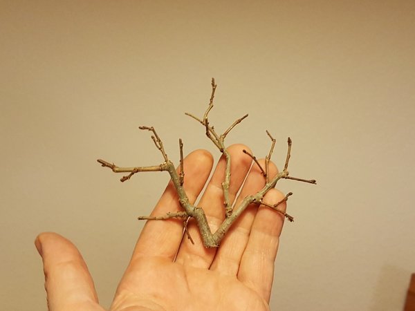 20180224_174721.jpg