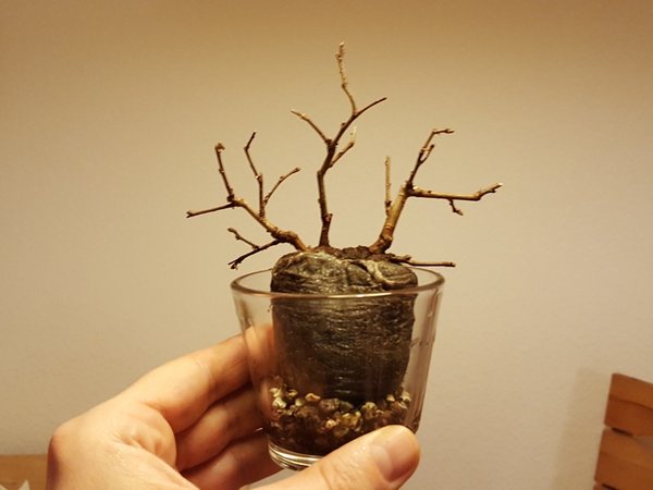 20180224_175449#1.jpg