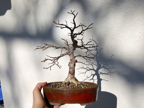 20180225_123114.jpg